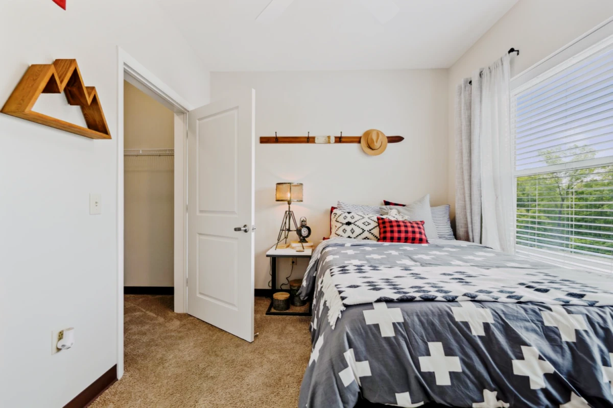 5 Rooms view 1