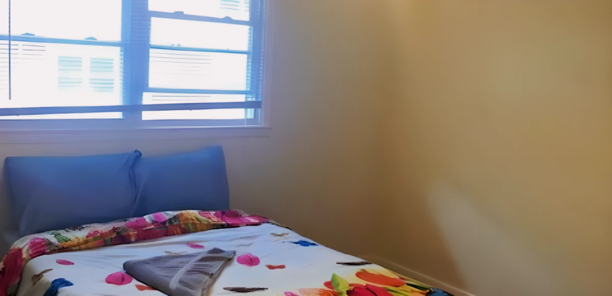 3 Bed 1.5 Bath Female Roommates