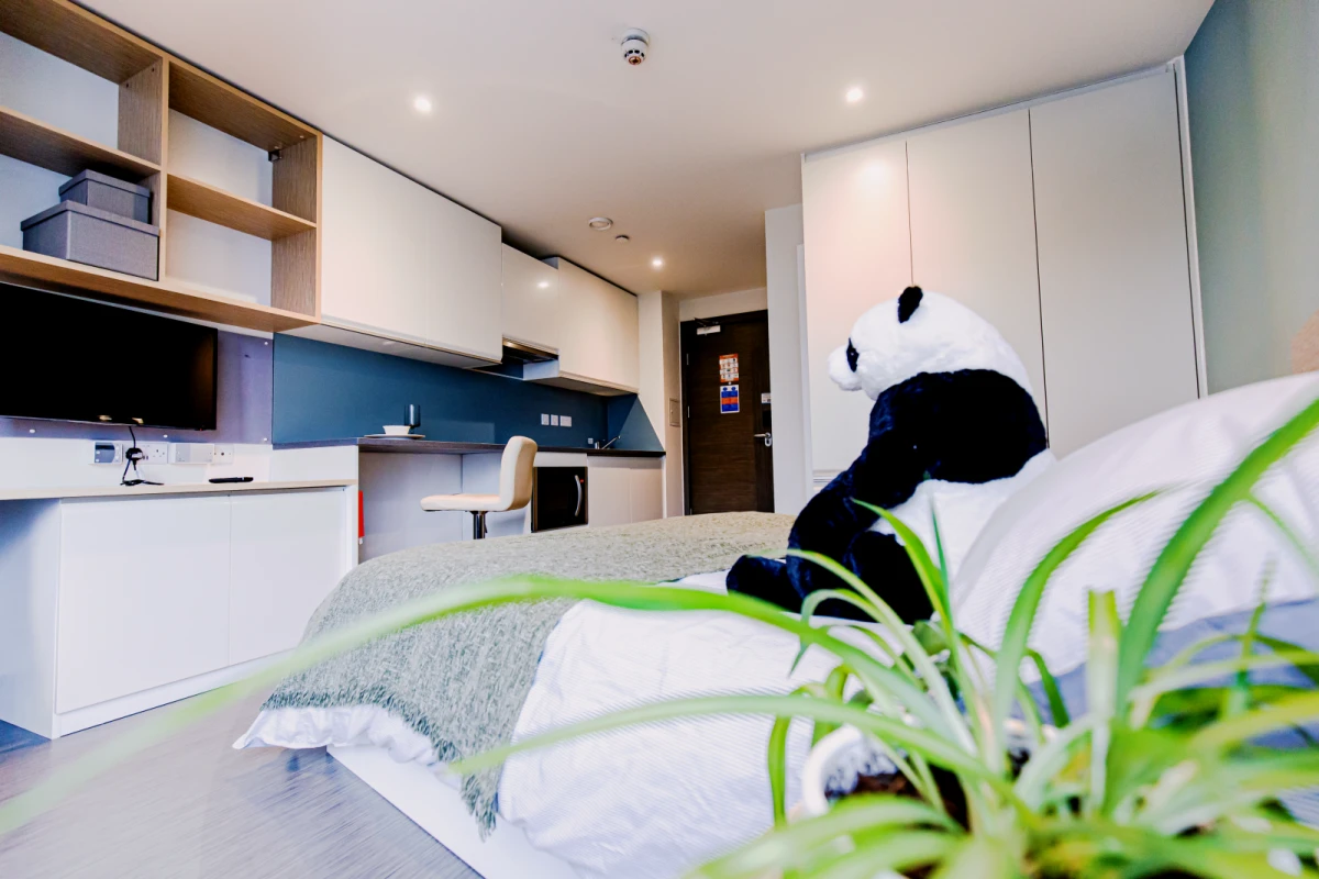 Cosy Rooms view 1