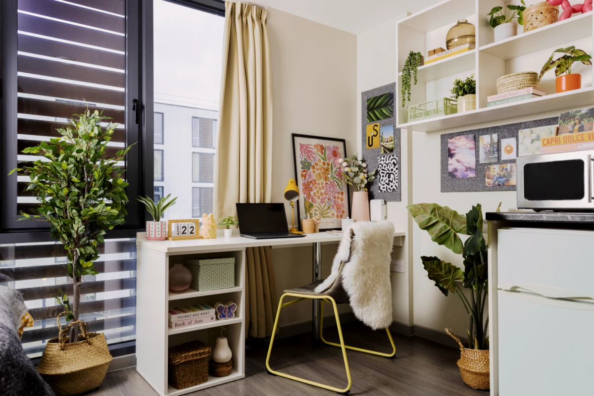 Studio Rooms view 2