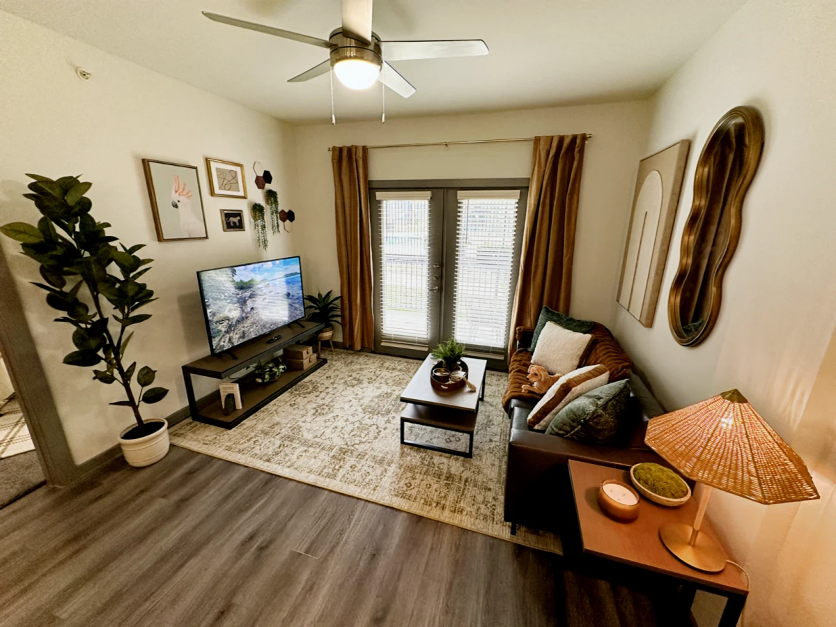 5 Rooms view 2