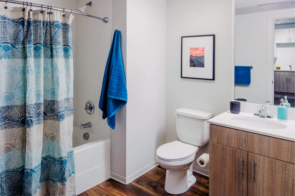 Luxury Housing - Uncommon Fort Collins