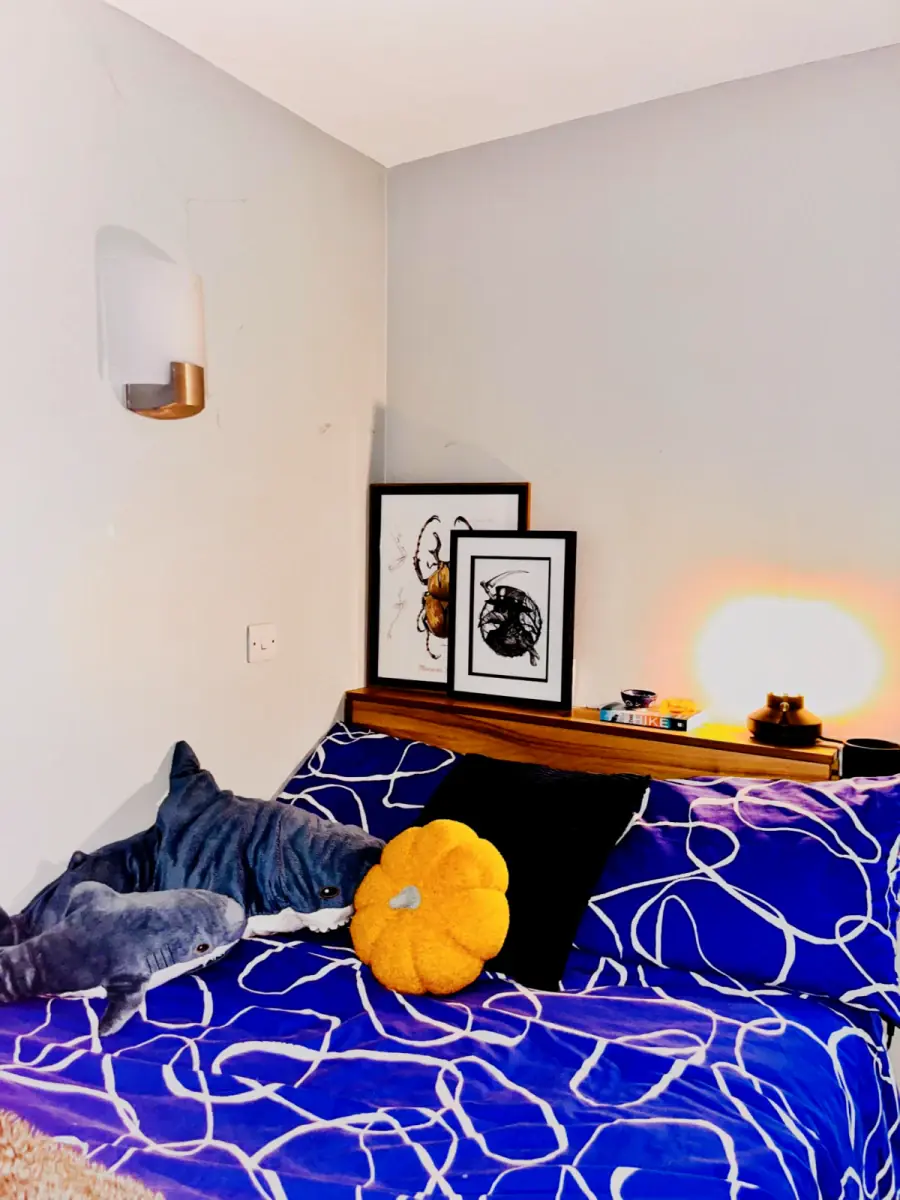 Apartment Rooms view 2