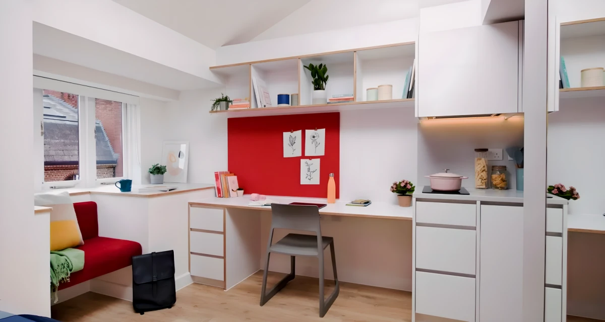 Large Plus Studio