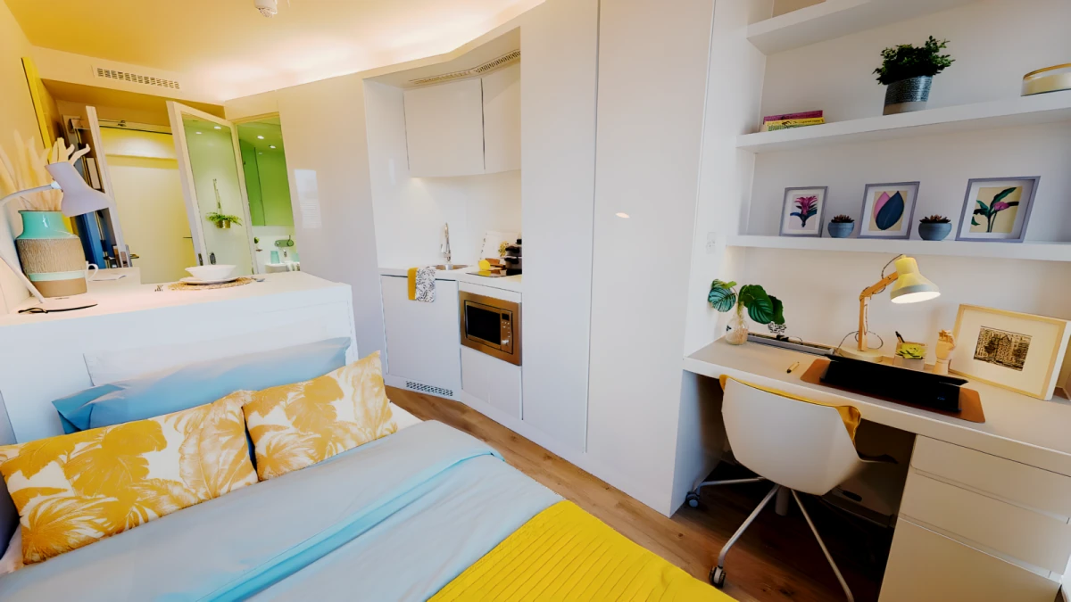 Bronze Studio Premium