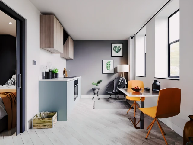 1 Bedroom Apartment (compact)