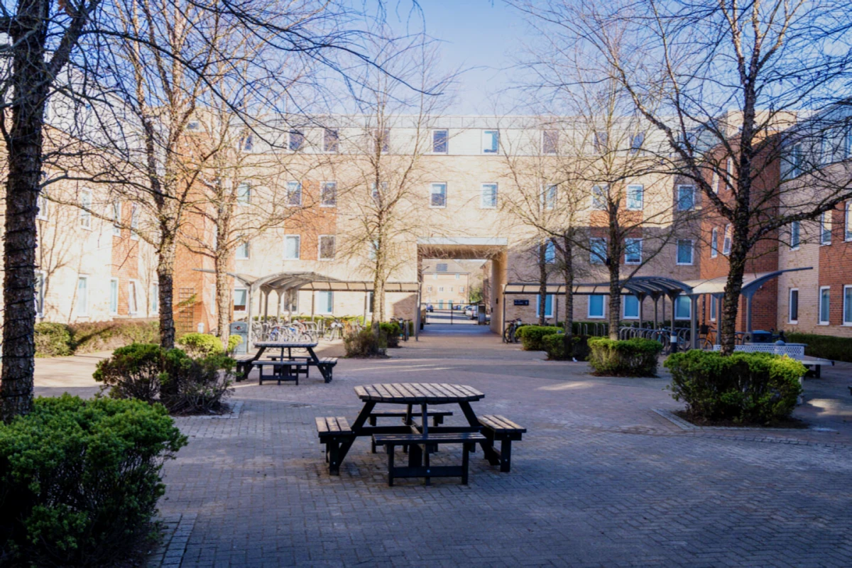 Outdoor Features