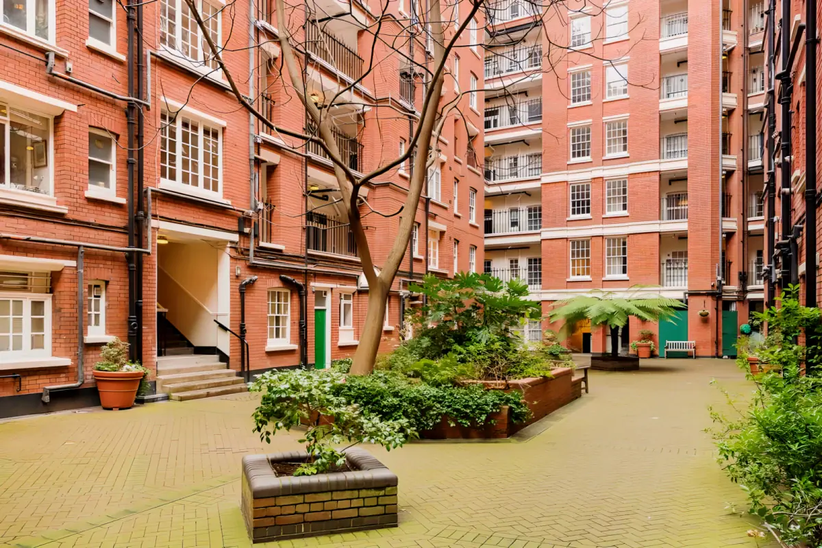 Outdoor Features