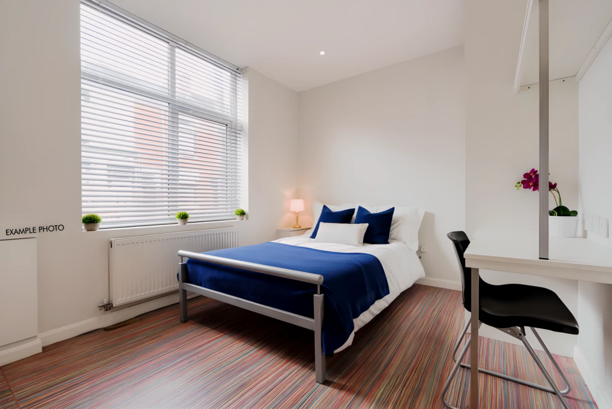 8 Bed 2 Bath