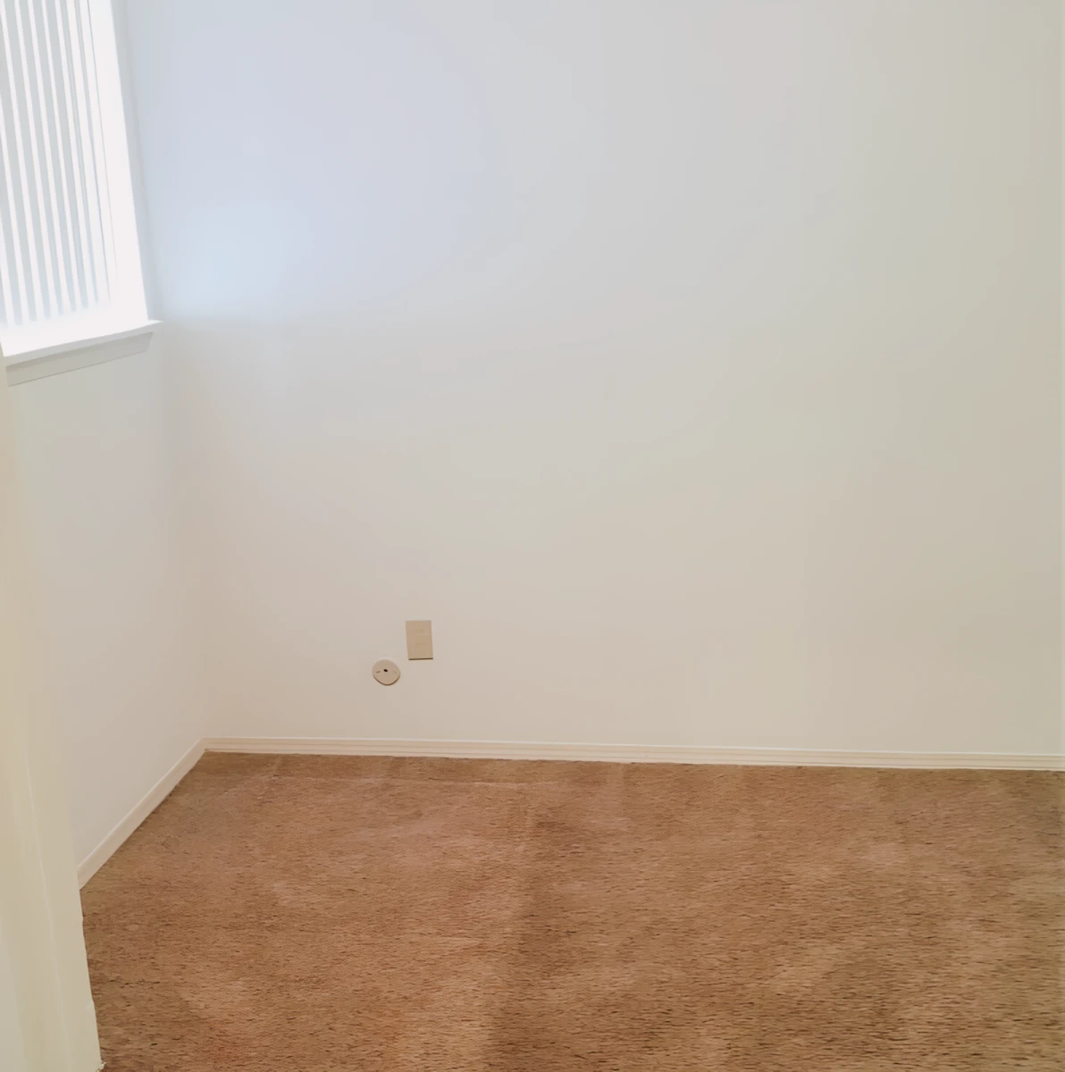 1 bed 1 bath