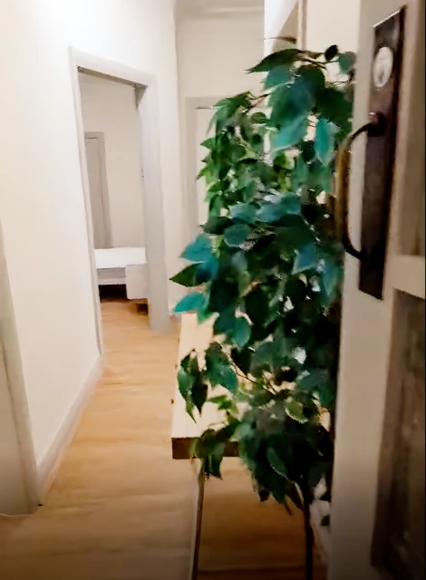 3 bed 1 bath