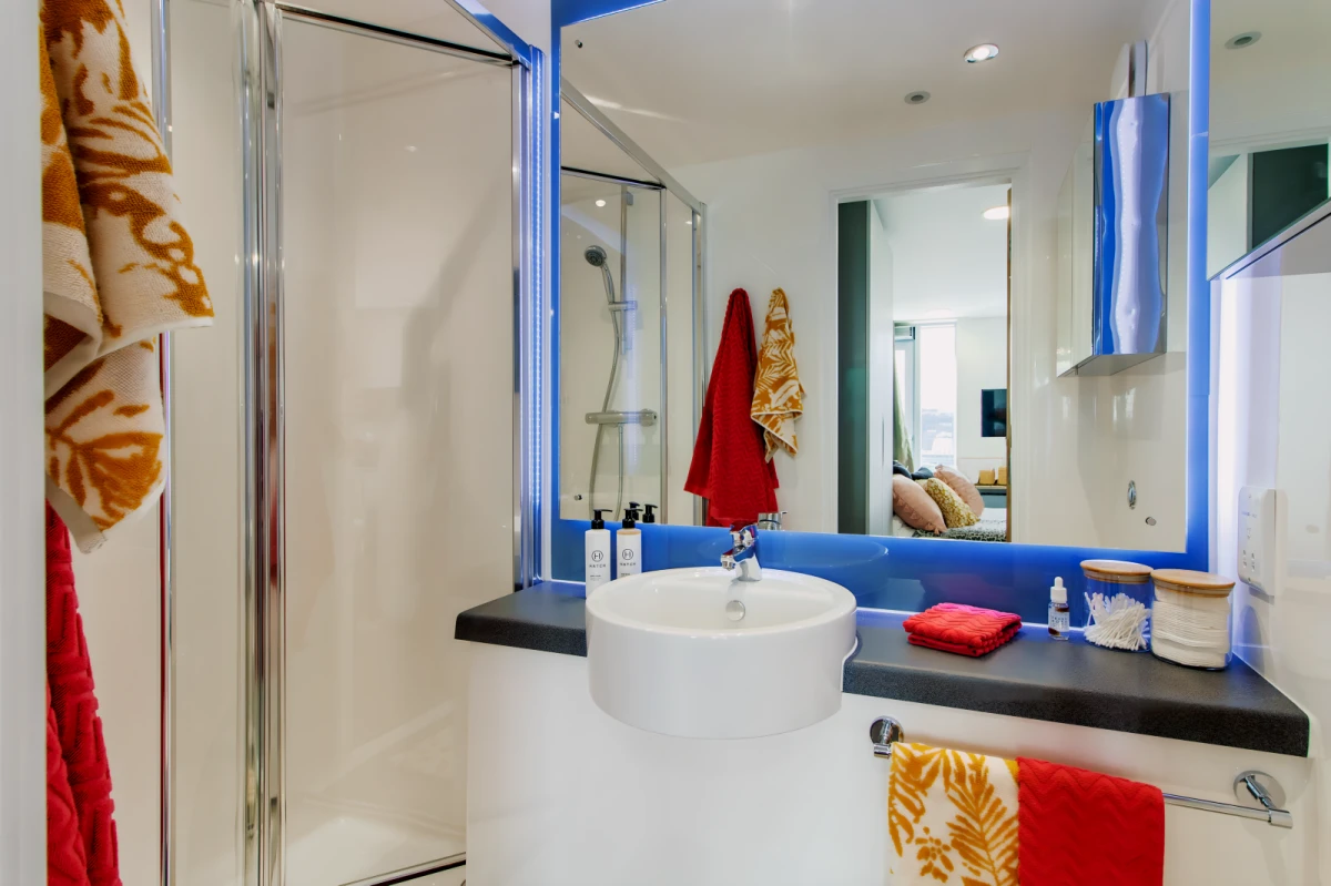 Ensuite Rooms view 3