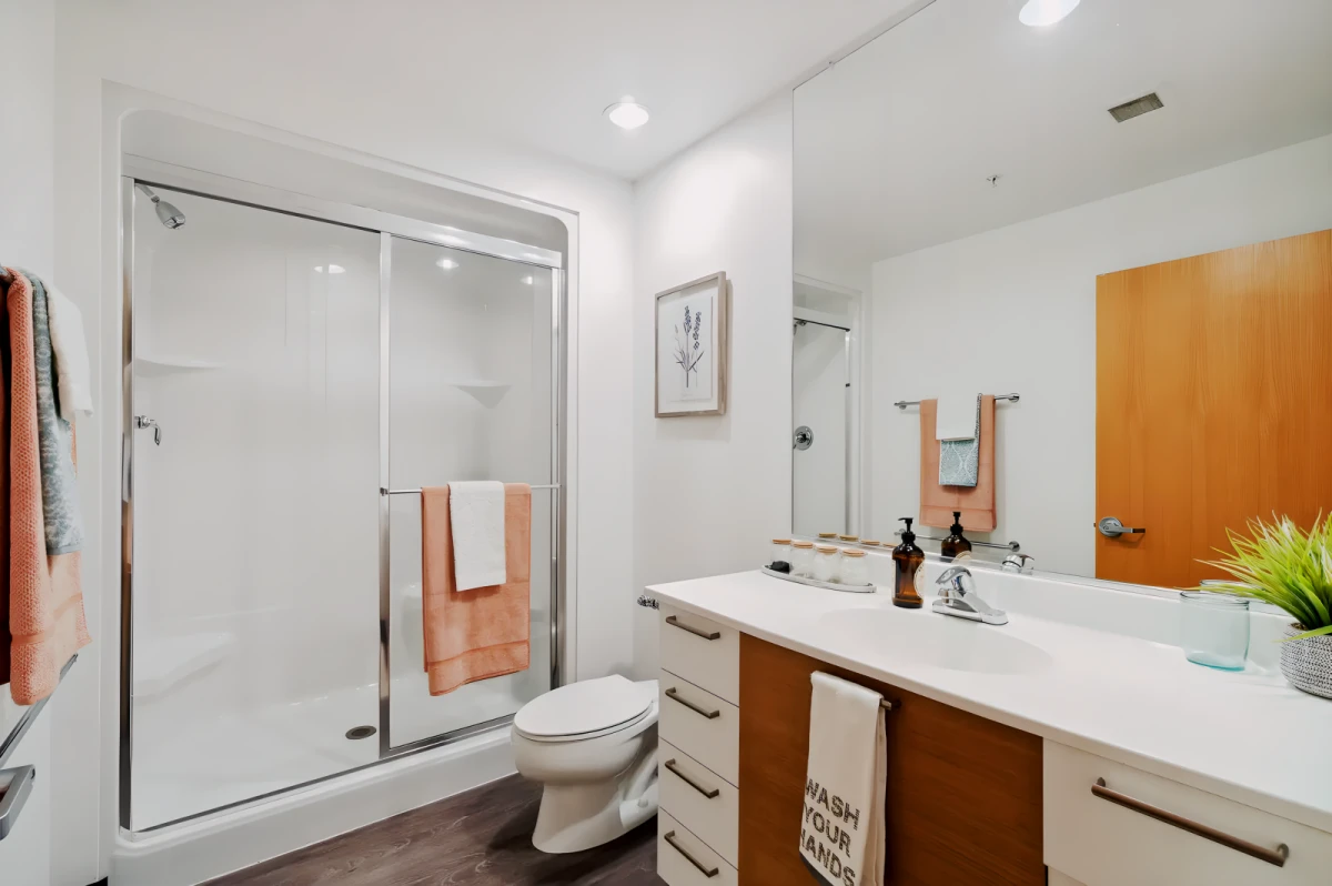 2 Bed 1 Bath B1