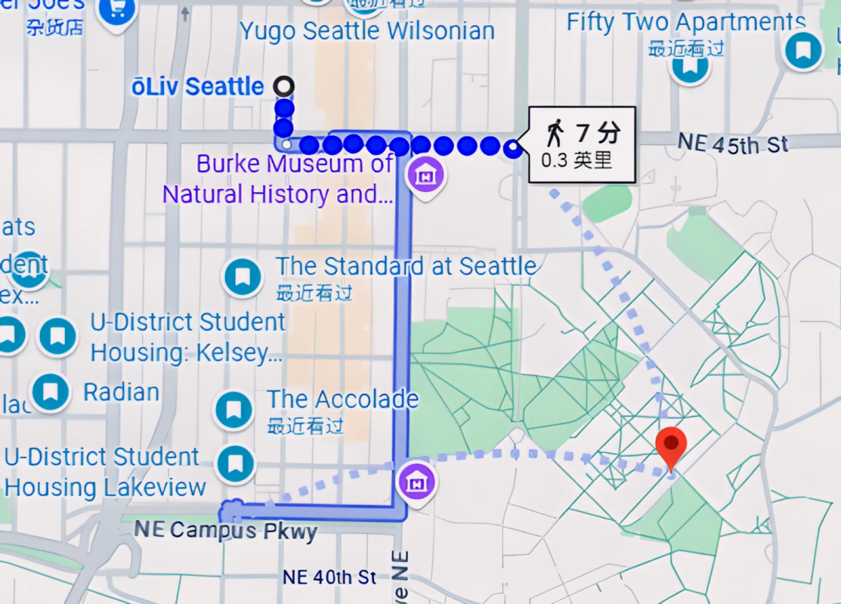 Location