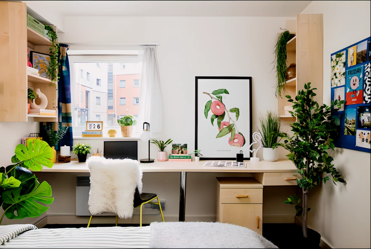 2 Bed Flat