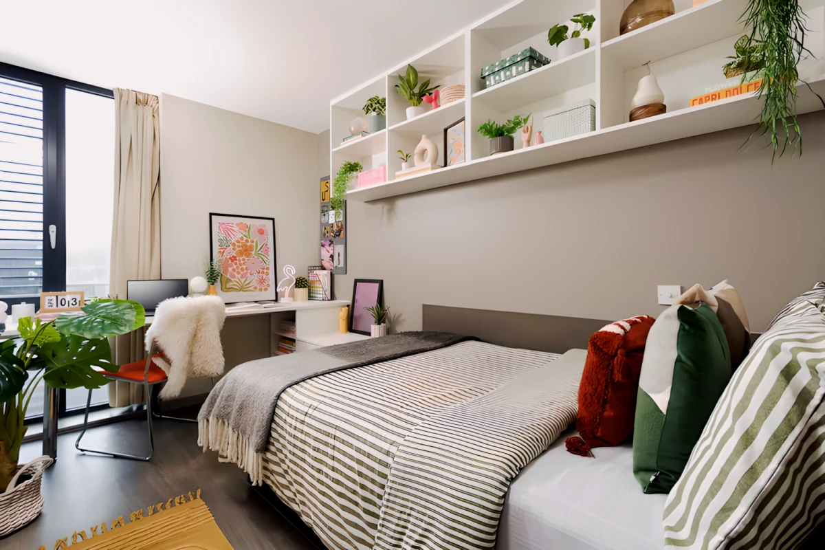 Classic Accessible Studio