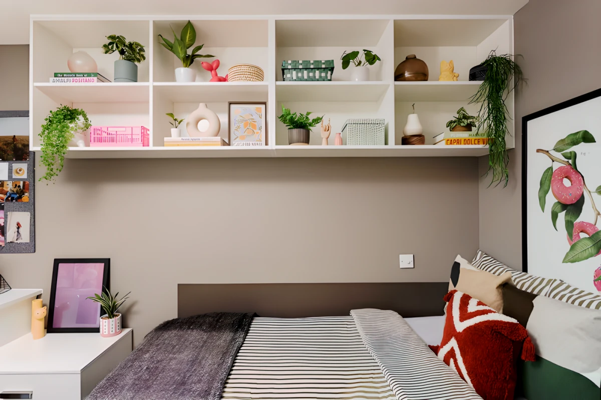 Classic Accessible Studio