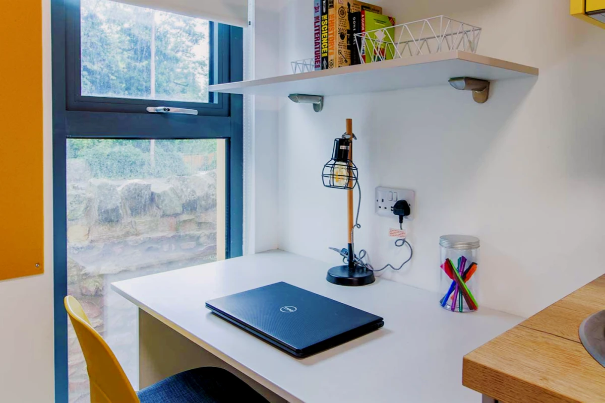 Standard Studio