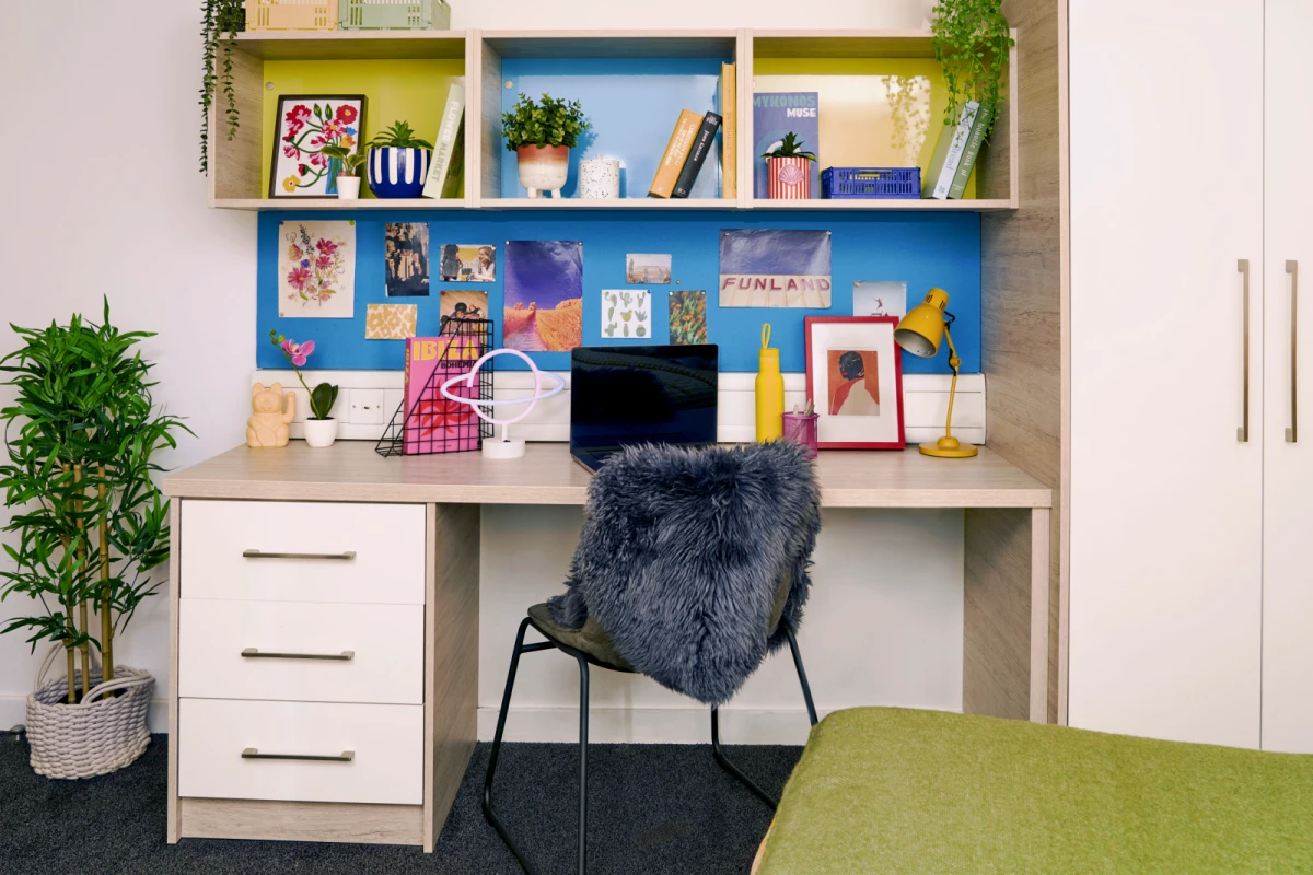 Large Studio
