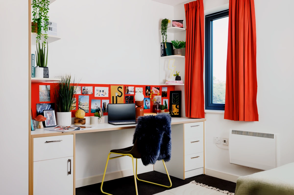 Medium Studio