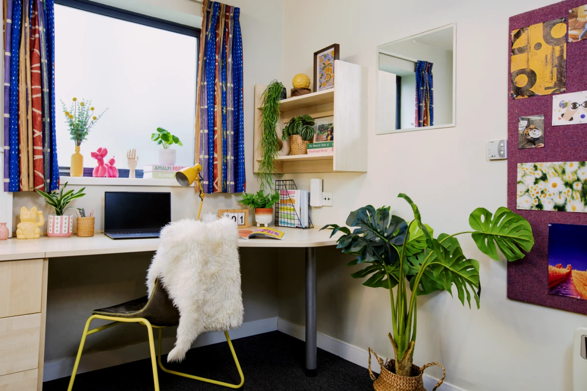 Studio Rooms view 3