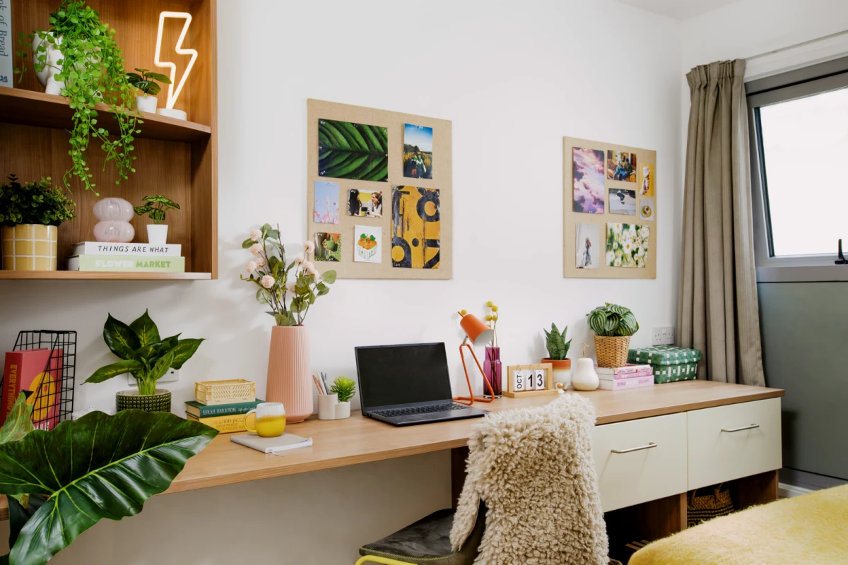 Studio Rooms view 2