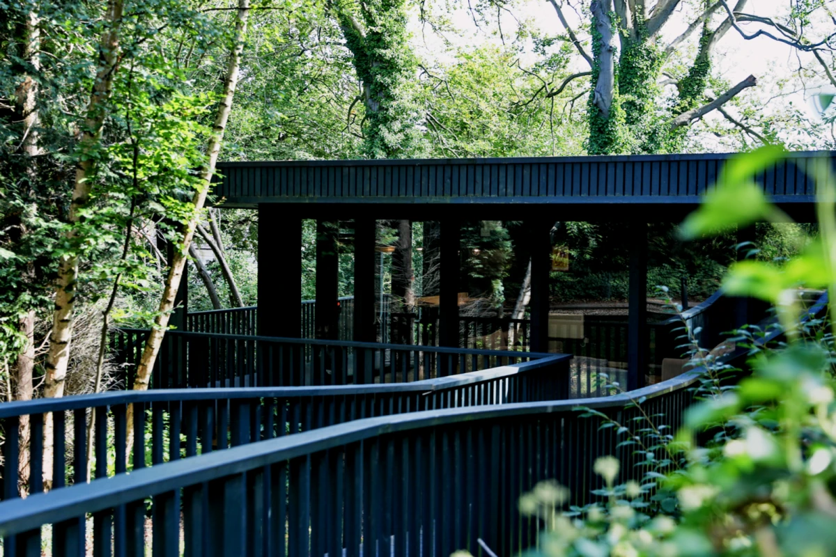 Beech Gardens