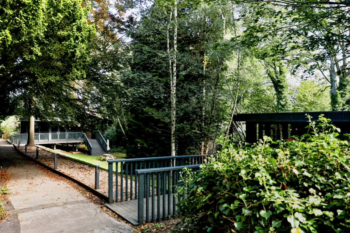 Beech Gardens