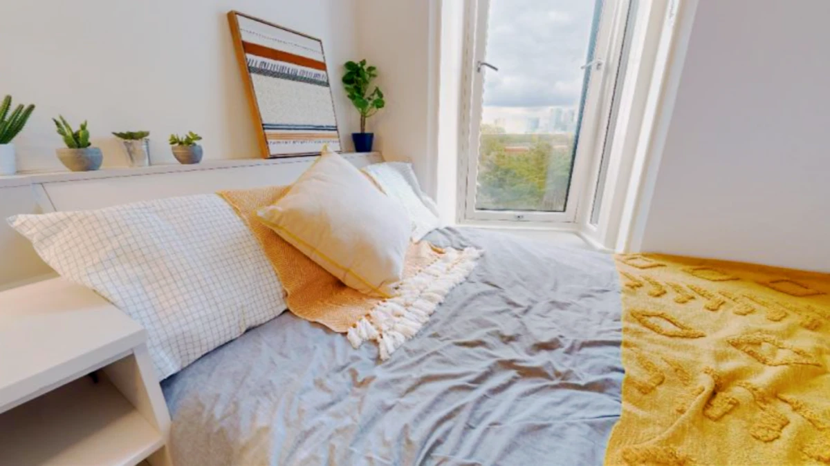 Bronze Studio Deluxe