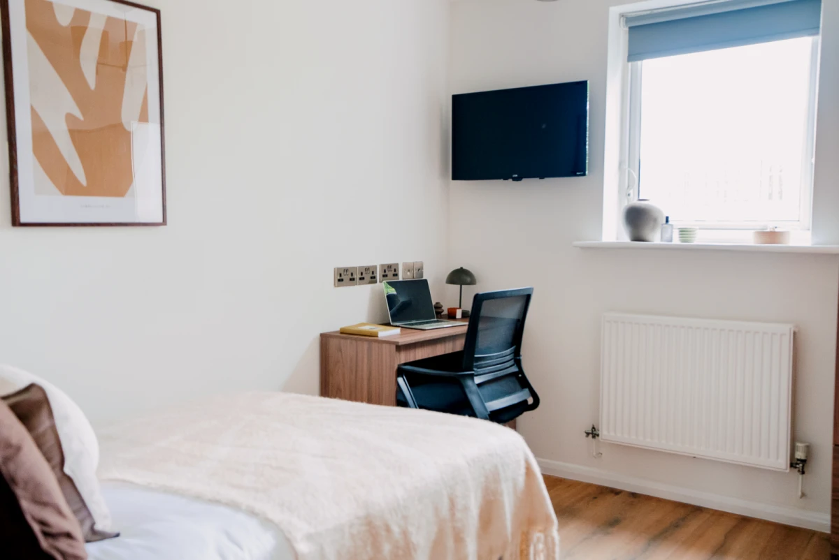 Room in Shared Flat