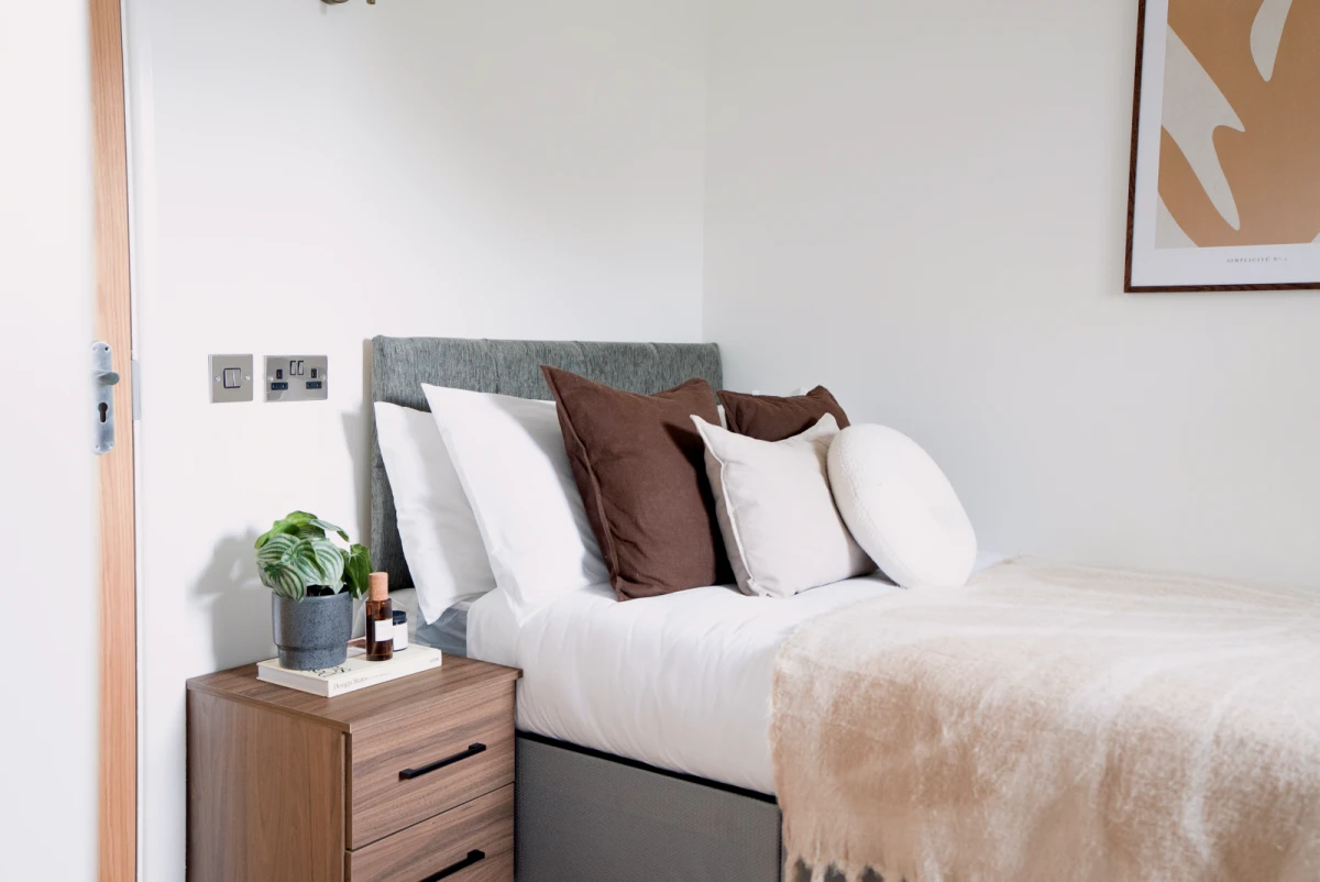 Room in Shared Flat