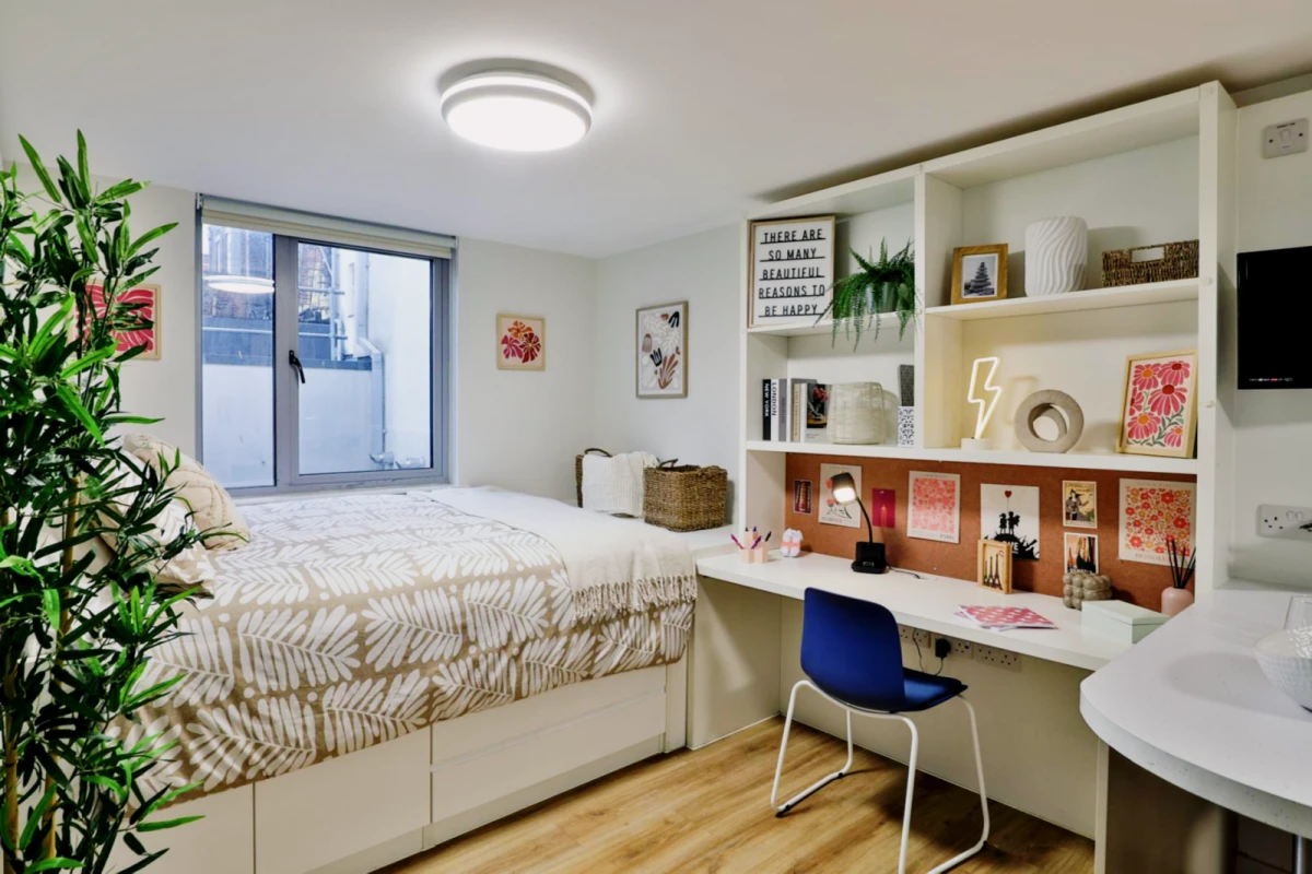 Tamarillo House