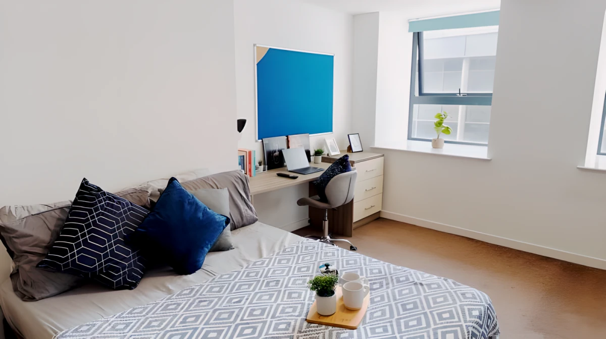 Deluxe Plus Studio