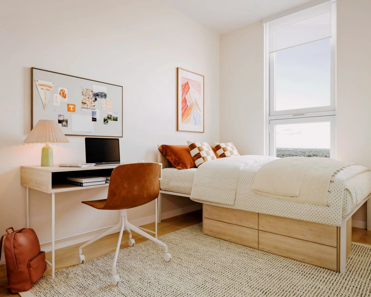 2BR/2BA Rooms view 2