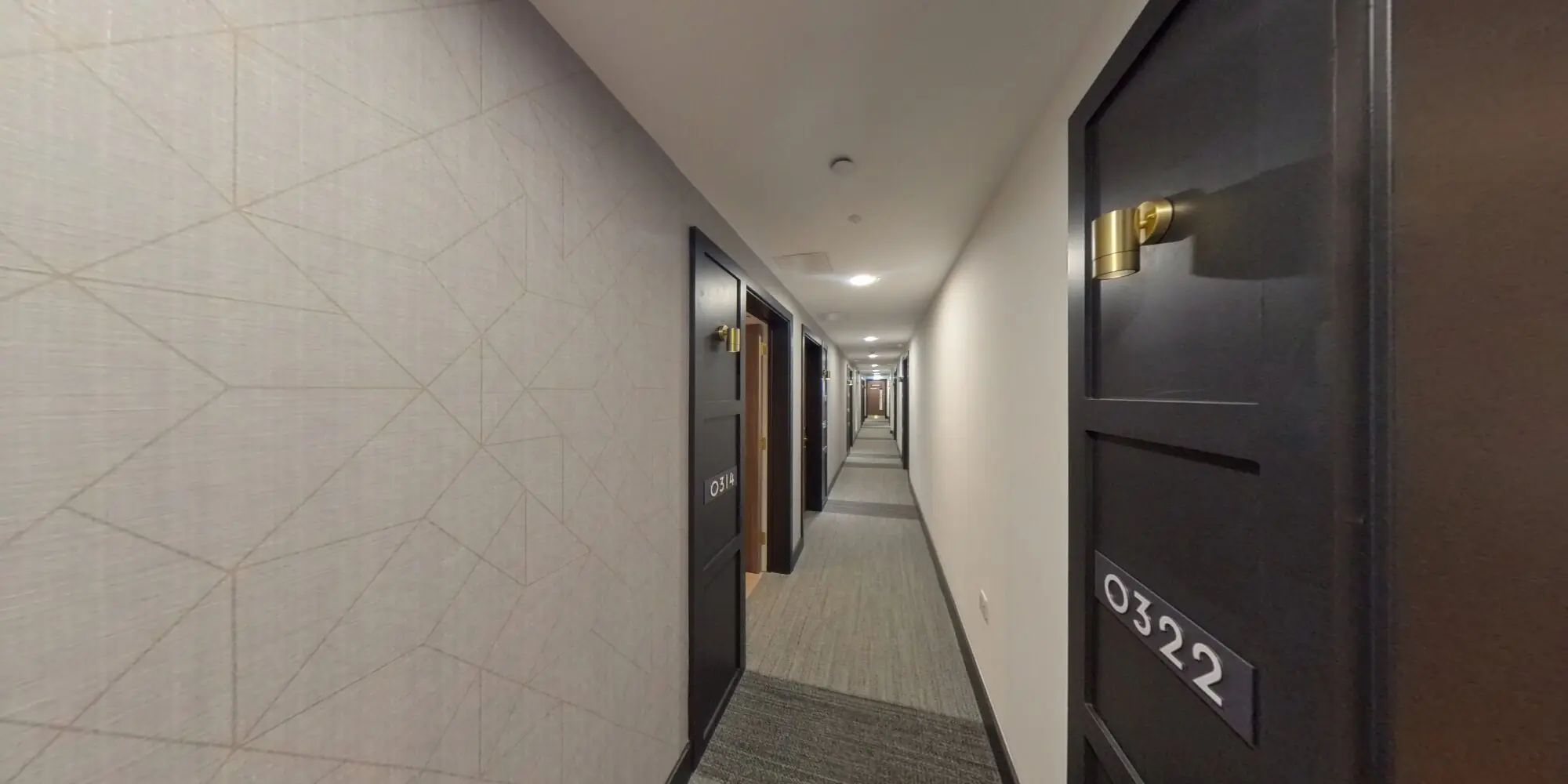 360 view