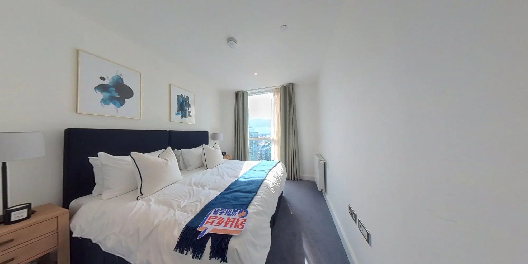 360 view