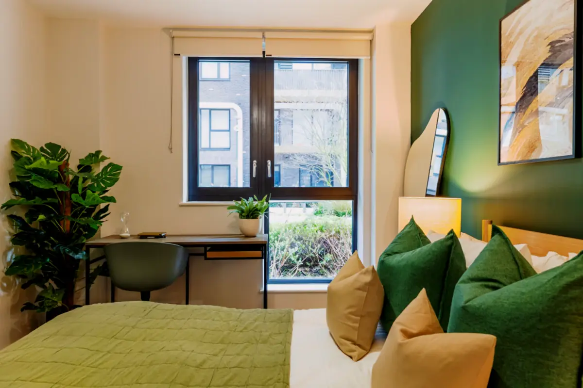 Two Rooms view 2