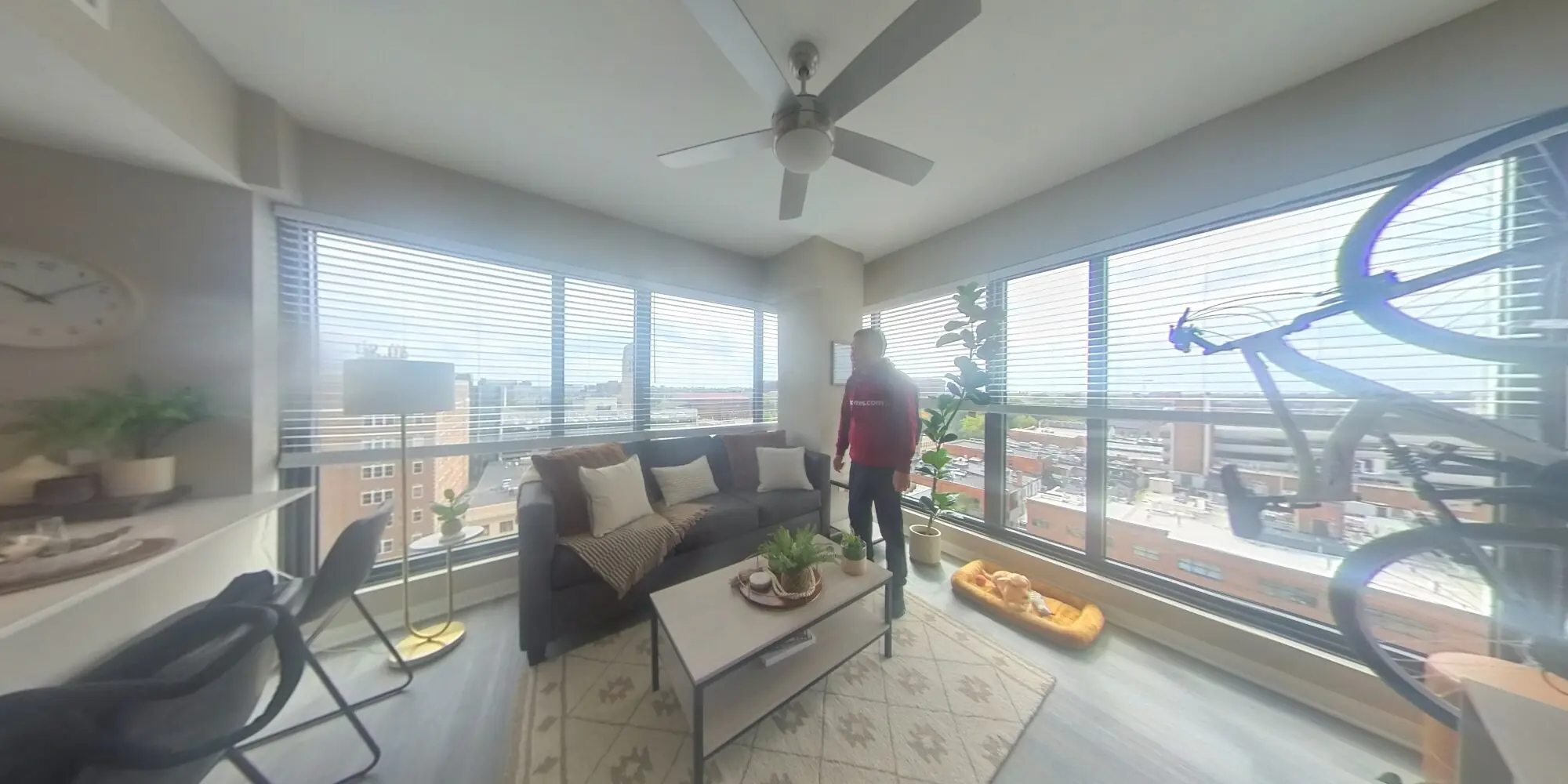 360 view