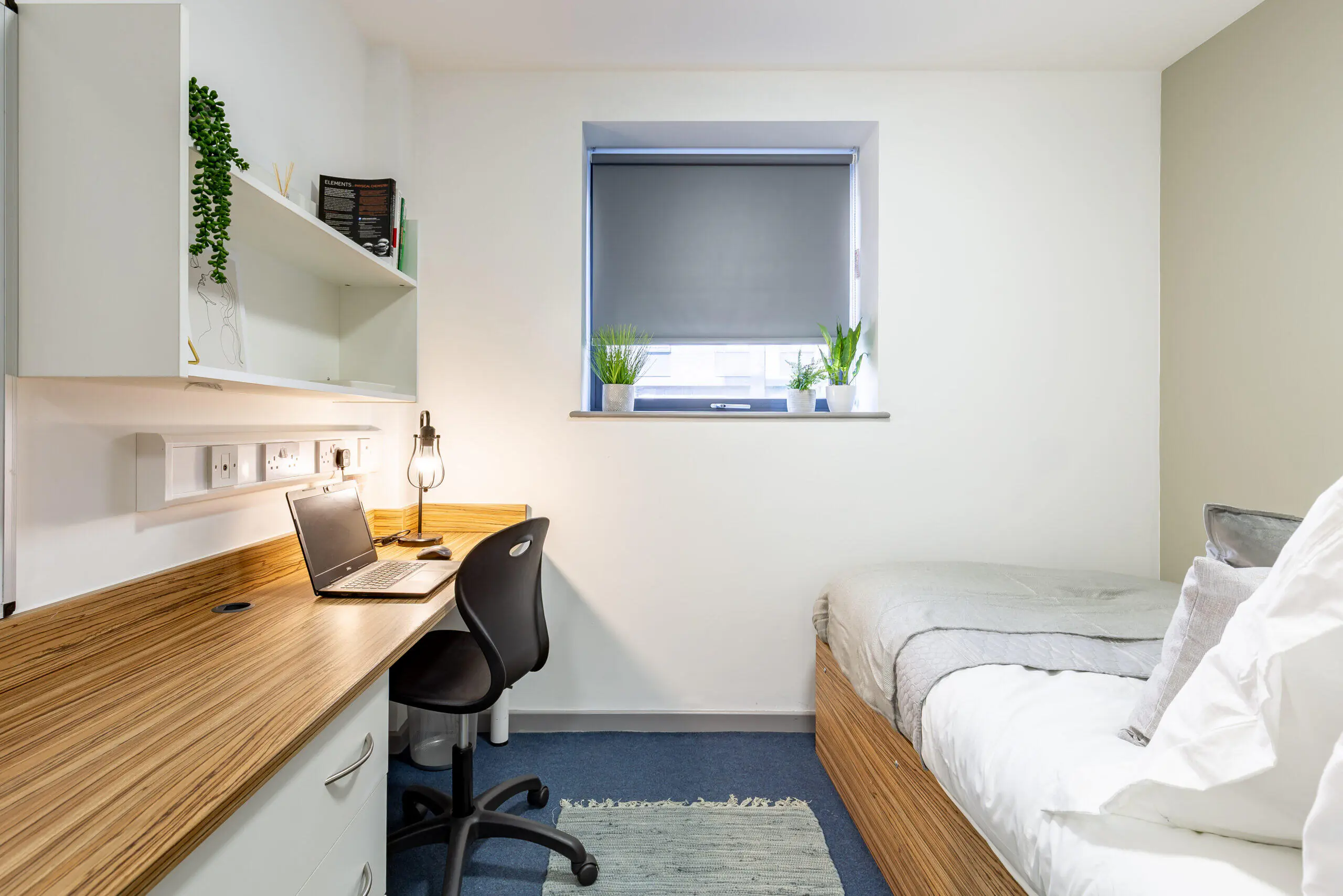 Rosedale Court – Portland Green Student Village