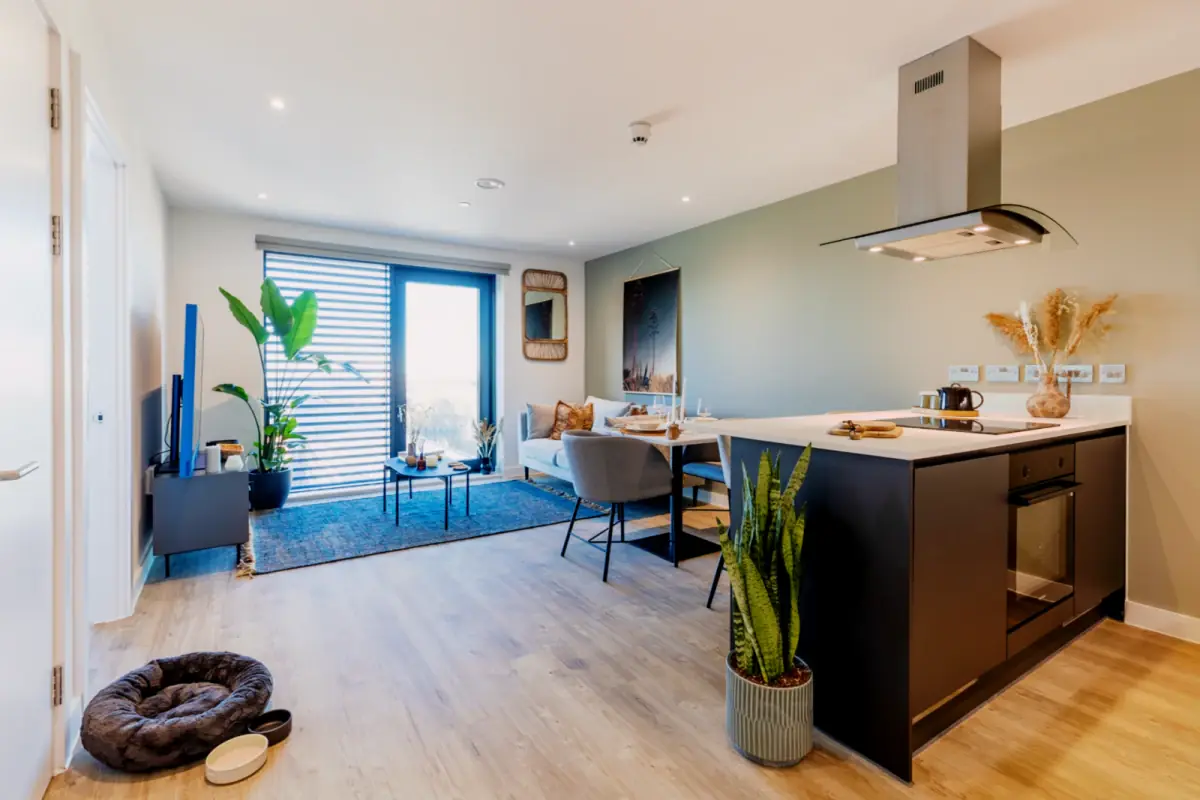 One Rooms view 1