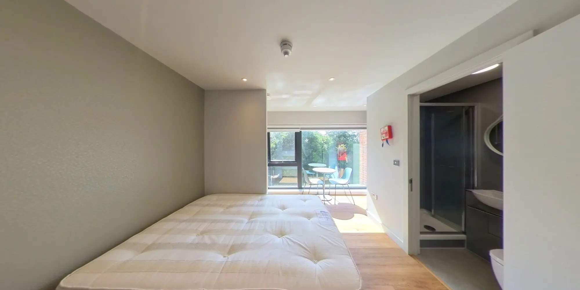 360 view