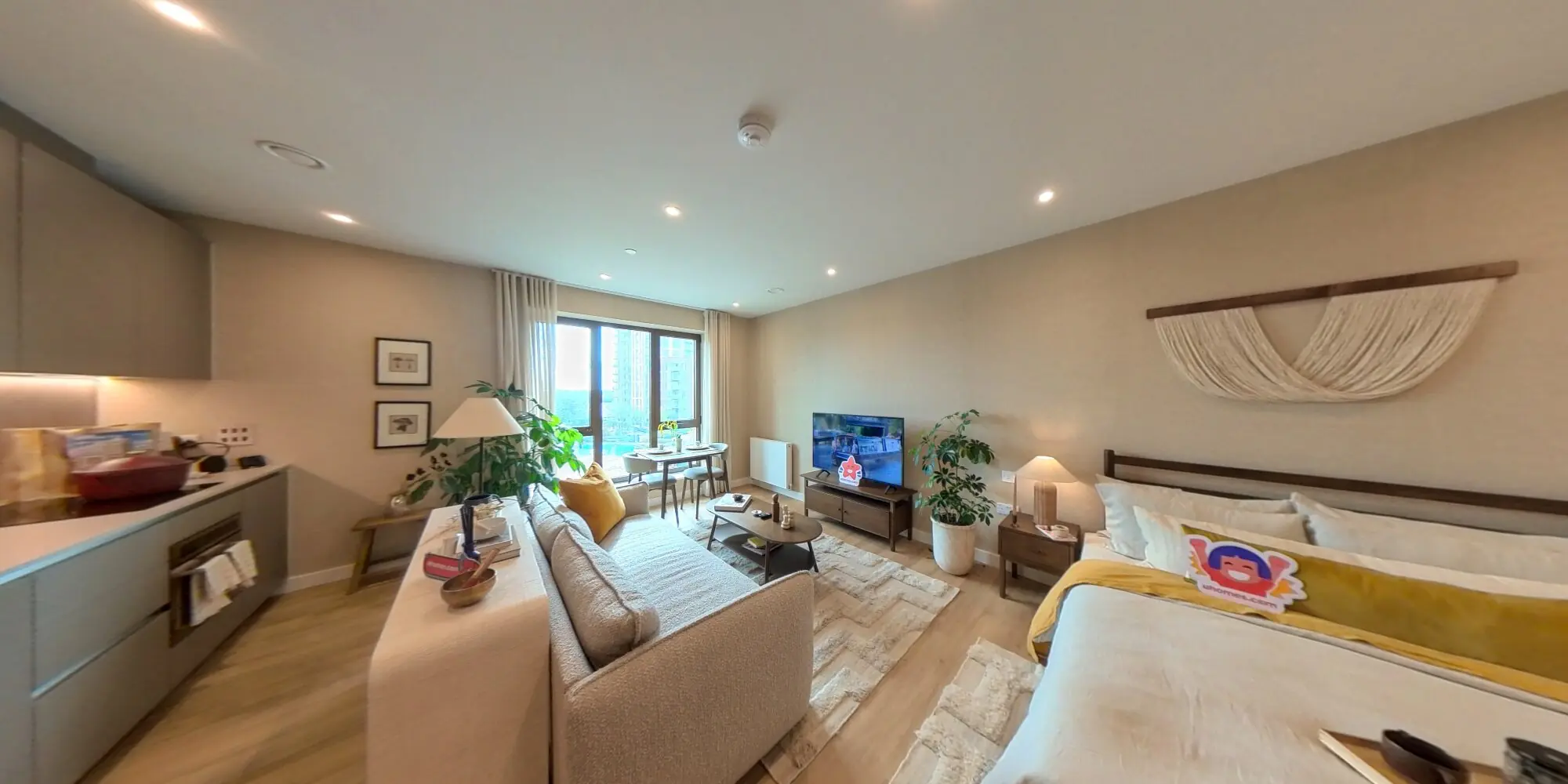 360 view